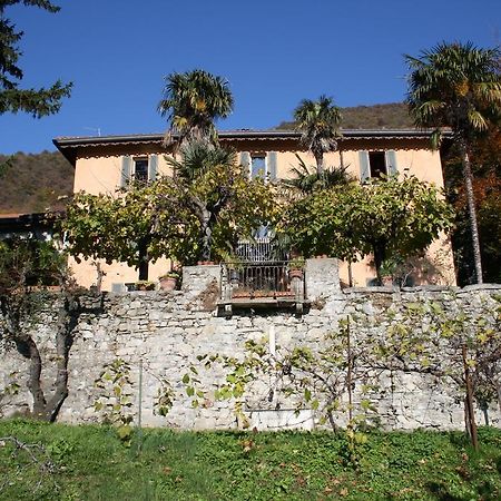 Antico Glicine B&B マズリアーニコ エクステリア 写真