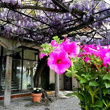 Antico Glicine B&B マズリアーニコ エクステリア 写真