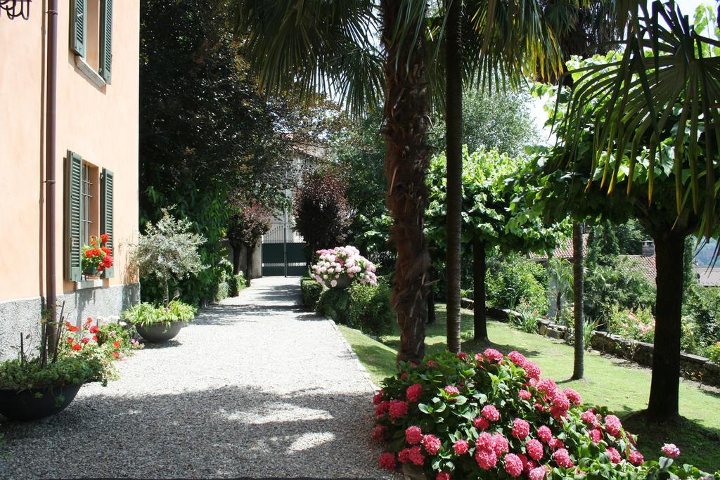 Antico Glicine B&B マズリアーニコ エクステリア 写真