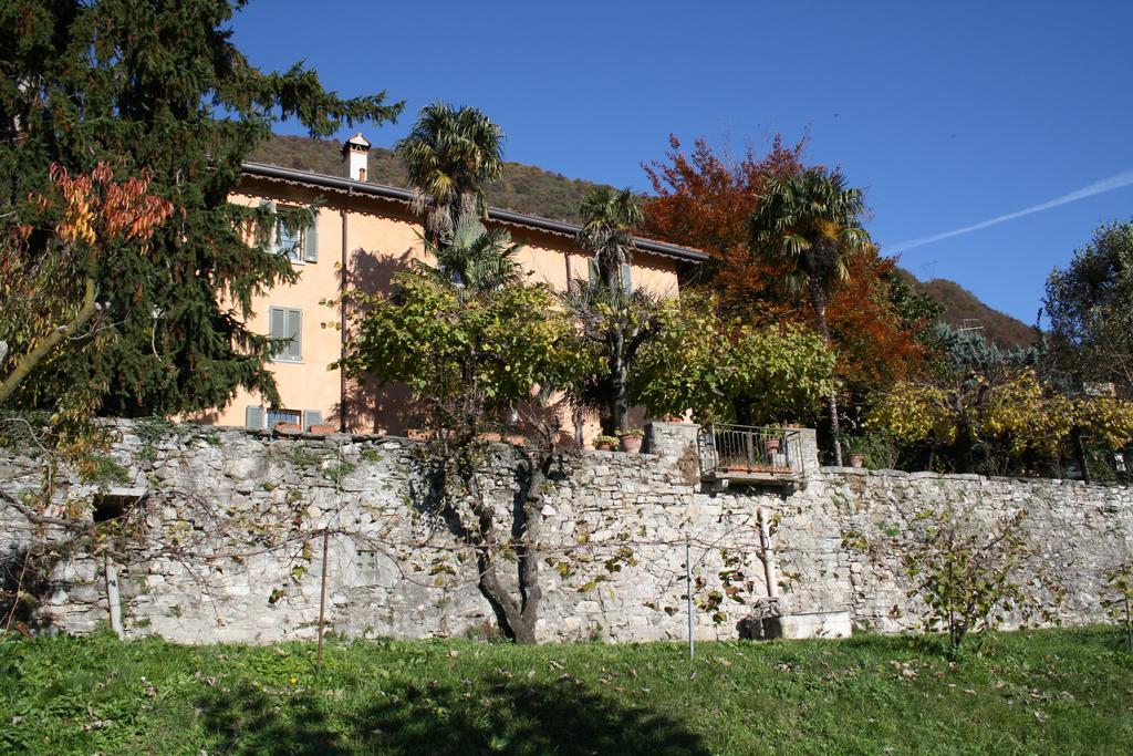 Antico Glicine B&B マズリアーニコ エクステリア 写真