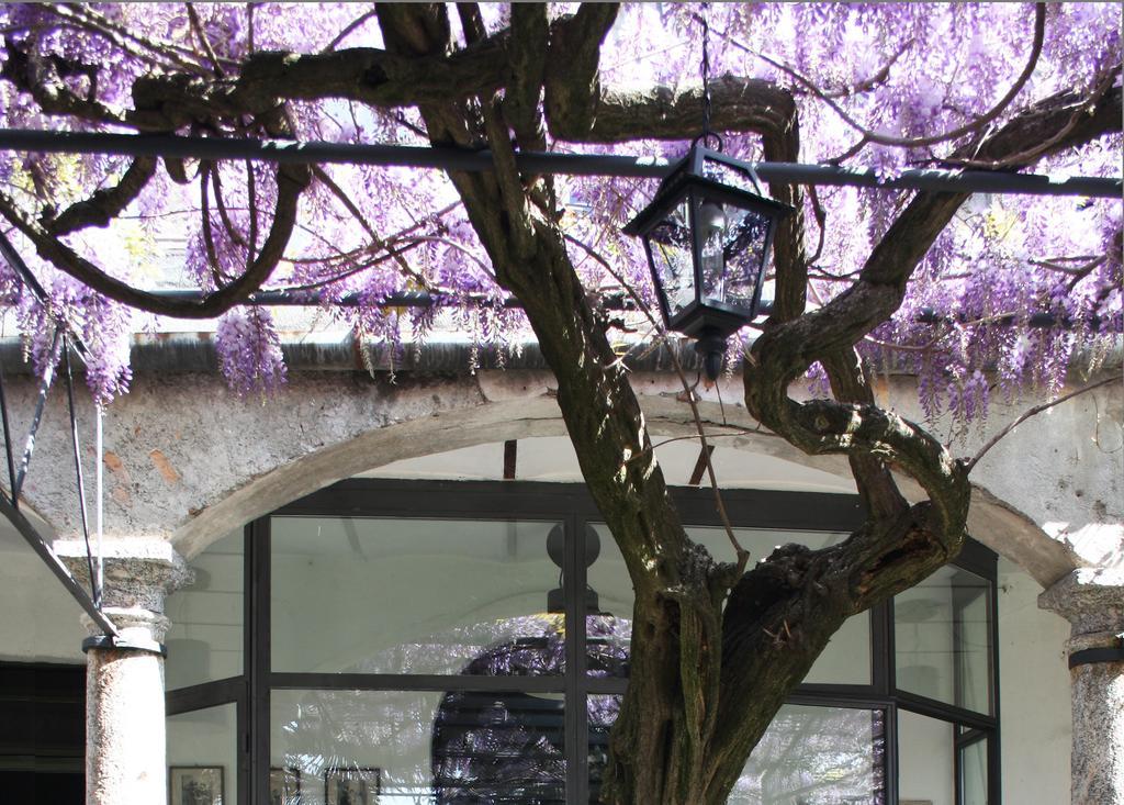 Antico Glicine B&B マズリアーニコ エクステリア 写真