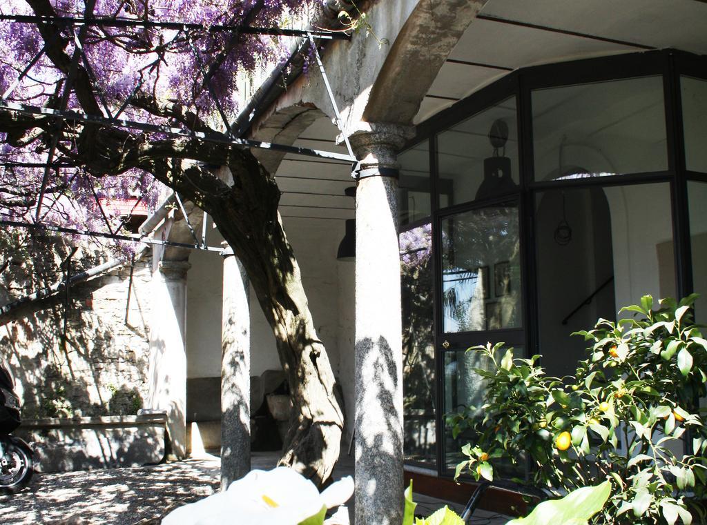 Antico Glicine B&B マズリアーニコ エクステリア 写真