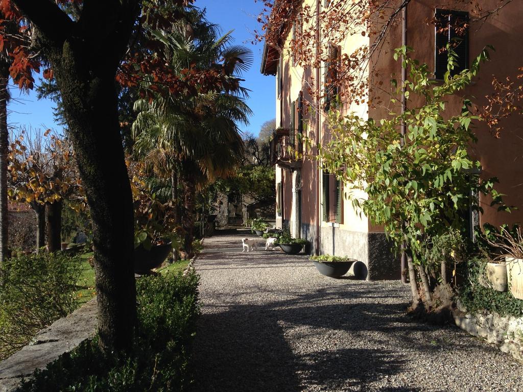 Antico Glicine B&B マズリアーニコ エクステリア 写真